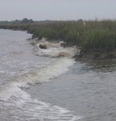 Photo of boat wake in a tidal creek.