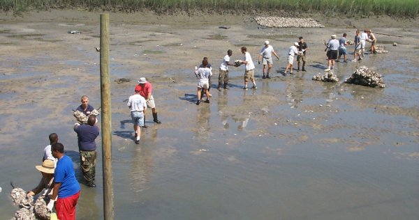 Human bag brigade builds reef