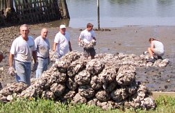 Photo of vounteers building a SCORE oyster reef site.
