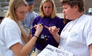 Volunteers discussing sample results