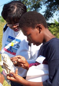 Photo of a student and teacher observing a clump of oysters.